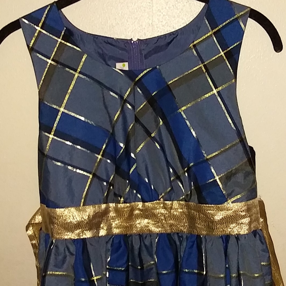 Blue plaid dress